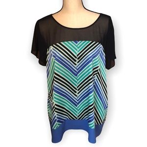 Ann Taylor Sheer Top